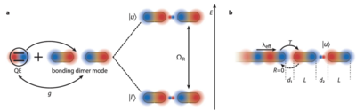 coherent perfect absorption